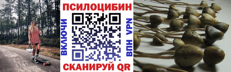 ссылка на мегу рабочий сайт  Топки  Псилоцибиновые грибы GOLDEN TEACHER  как найти наркотики 