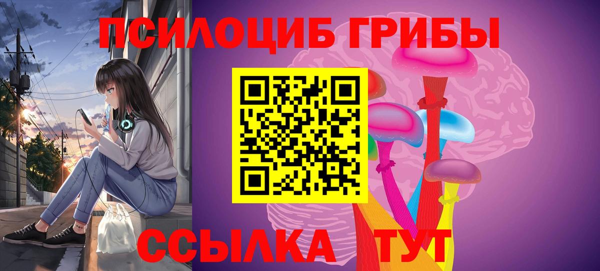 даркнет сайт  Вход с VPN  Псилоцибиновые грибы GOLDEN TEACHER  Топки  Галлюциногенные грибы GOLDEN TEACHER 