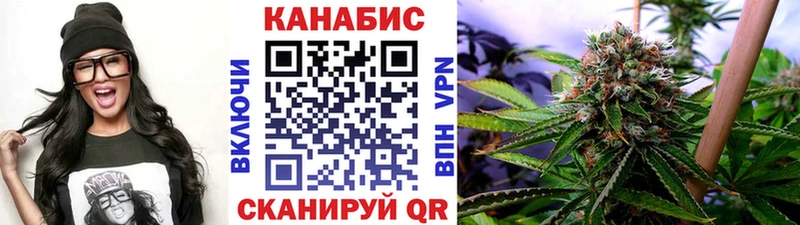Бошки Шишки план  Топки 