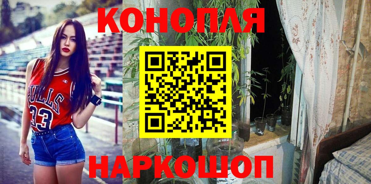 Каннабис MAZAR Топки